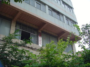 东莞市沙田美纶电脑绣花织唛厂 精密工艺赋能阳江电脑纺织加工产业升级